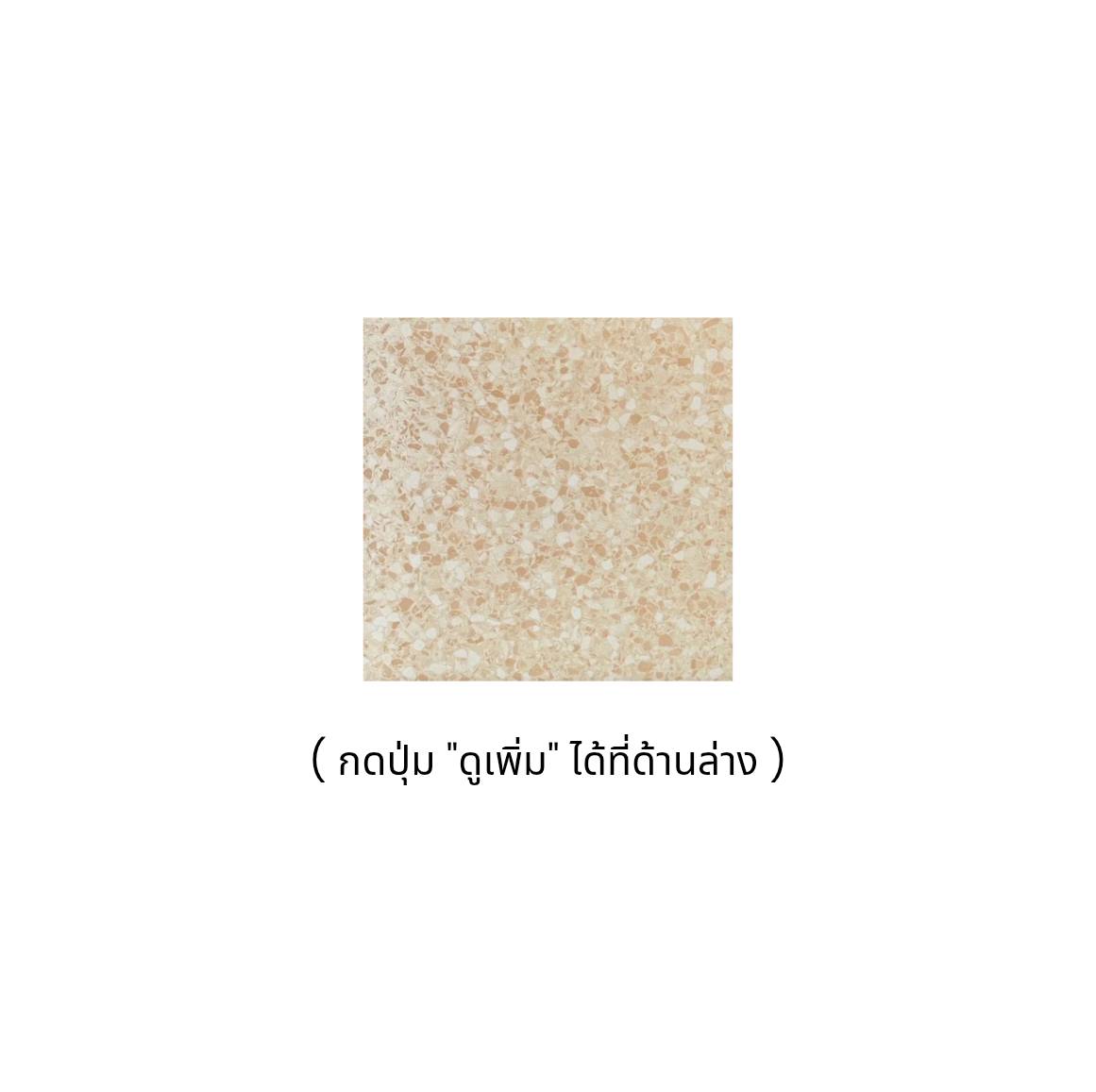 BEIGE TERRAZZO 